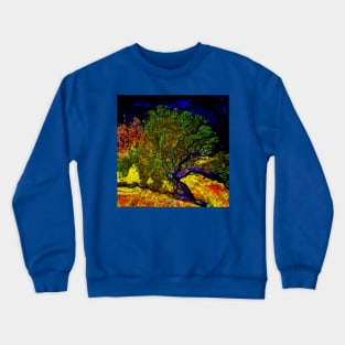 A photo of a colorful river delta taken from a satellite Crewneck Sweatshirt